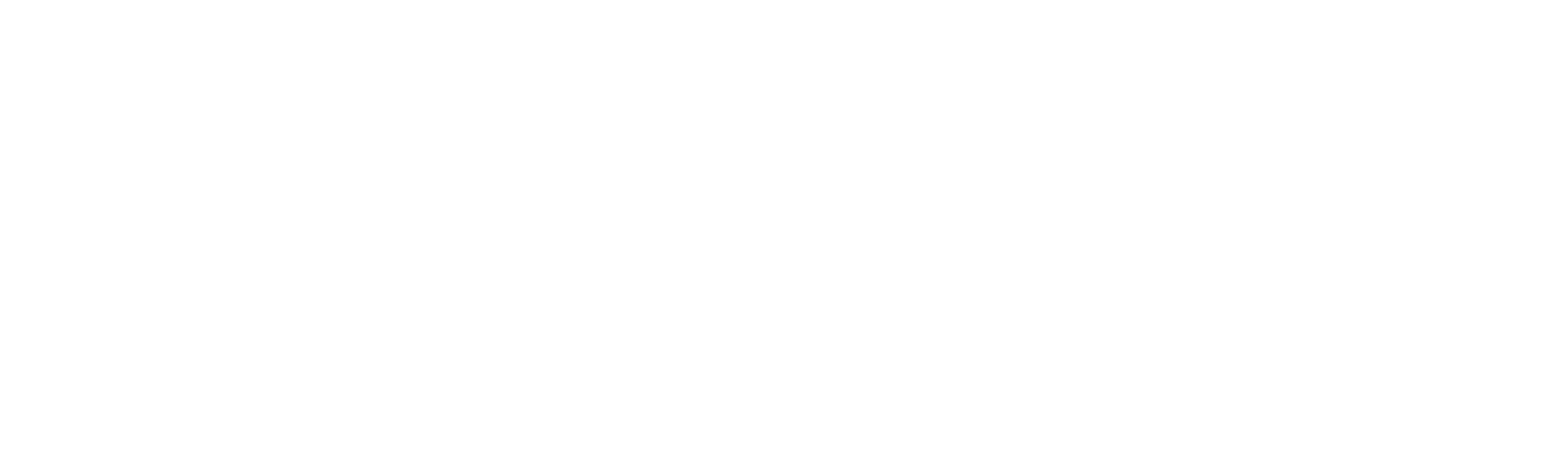mollerbil_trans2